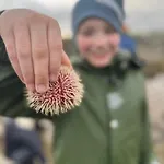 Sea Bleik