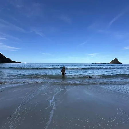 Sea 3*