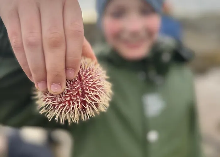 Sea Bleik