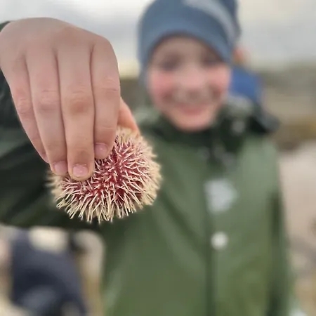 Sea Bleik